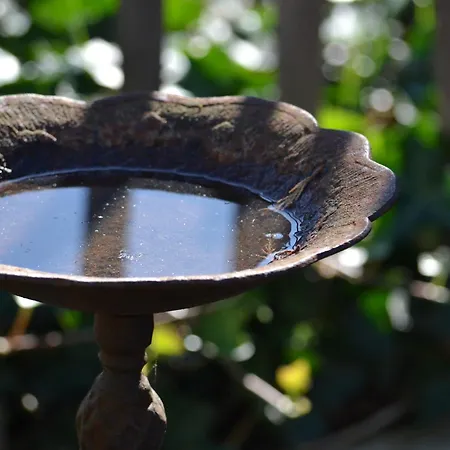 Boutique Butler מלון זאונקרקה