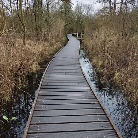 Boutique Butler מלון