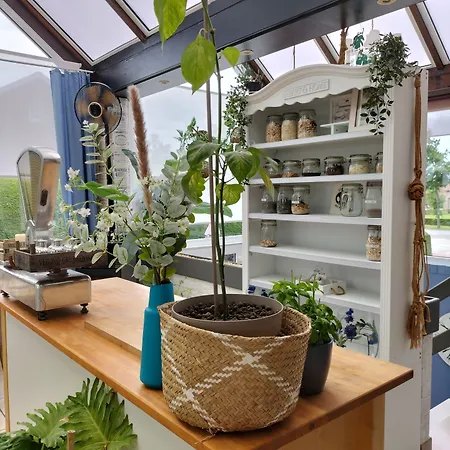 Boutique Butler Zuienkerke