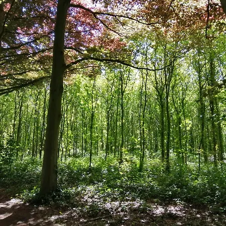 Boutique Butler Hotel