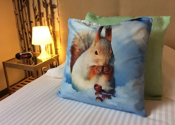 Hotel Boutique Butler 3*