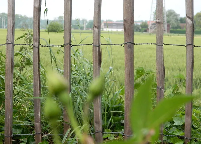 Boutique Butler מלון זאונקרקה